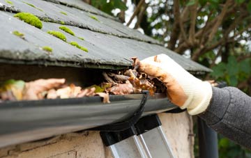 gutter cleaning The Middles, County Durham